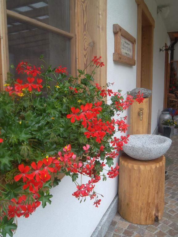 Agriturismo Maso Grisun Borzago 部屋 写真