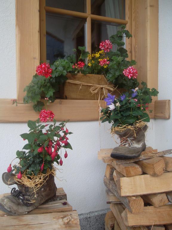 Agriturismo Maso Grisun Borzago エクステリア 写真