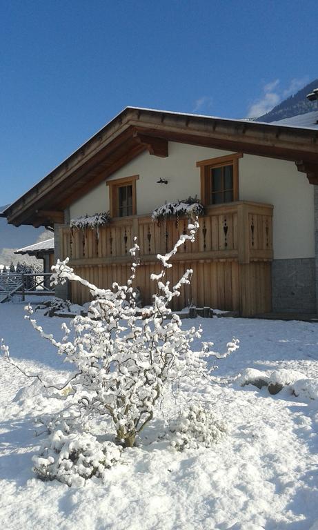 Agriturismo Maso Grisun Borzago エクステリア 写真