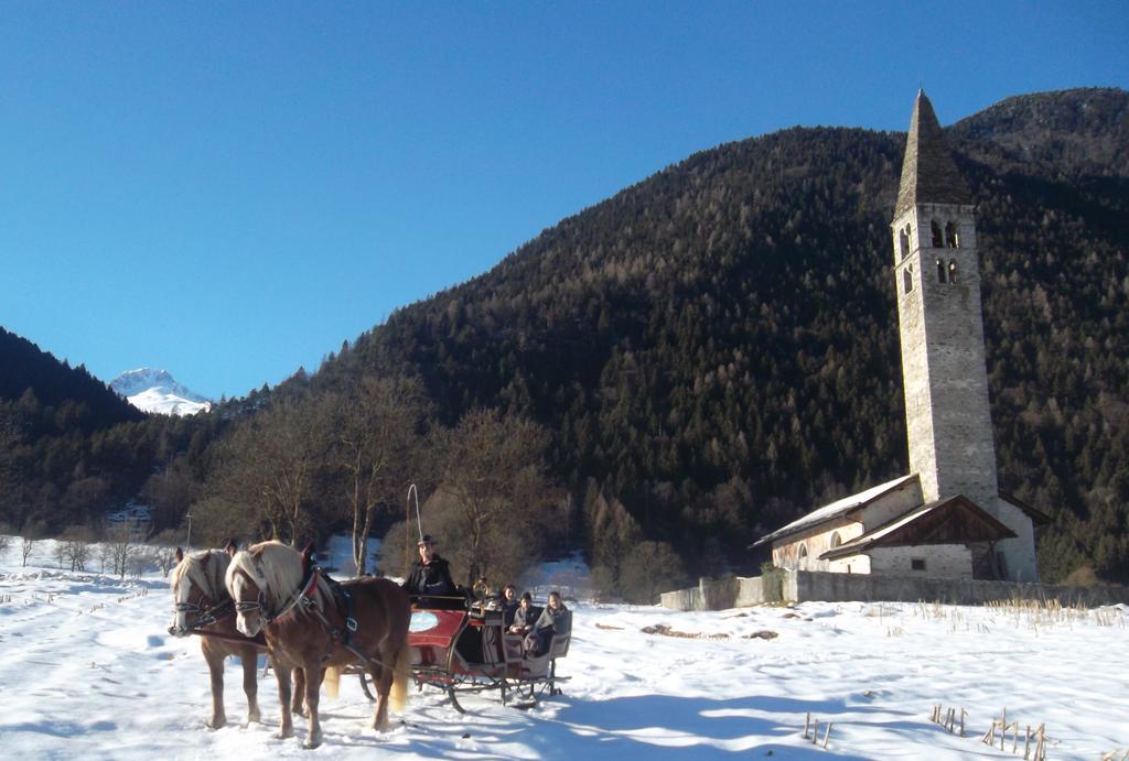 Agriturismo Maso Grisun Borzago エクステリア 写真