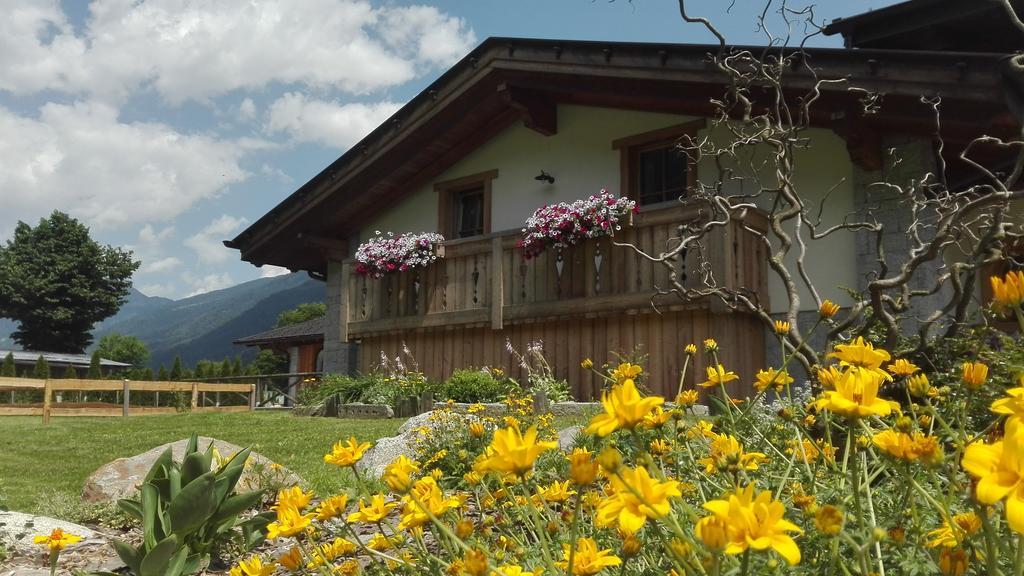 Agriturismo Maso Grisun Borzago エクステリア 写真