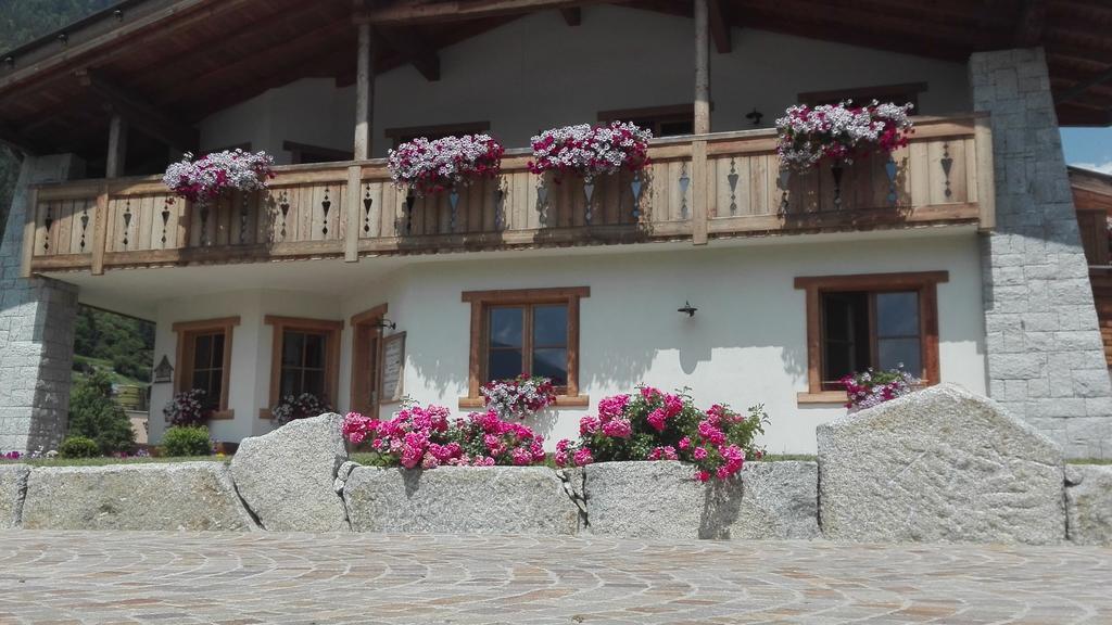 Agriturismo Maso Grisun Borzago エクステリア 写真