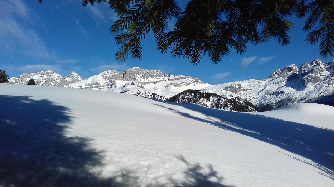 Agriturismo Maso Grisun Borzago エクステリア 写真