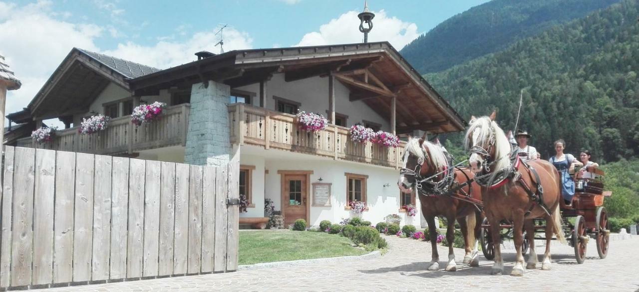 Agriturismo Maso Grisun Borzago エクステリア 写真