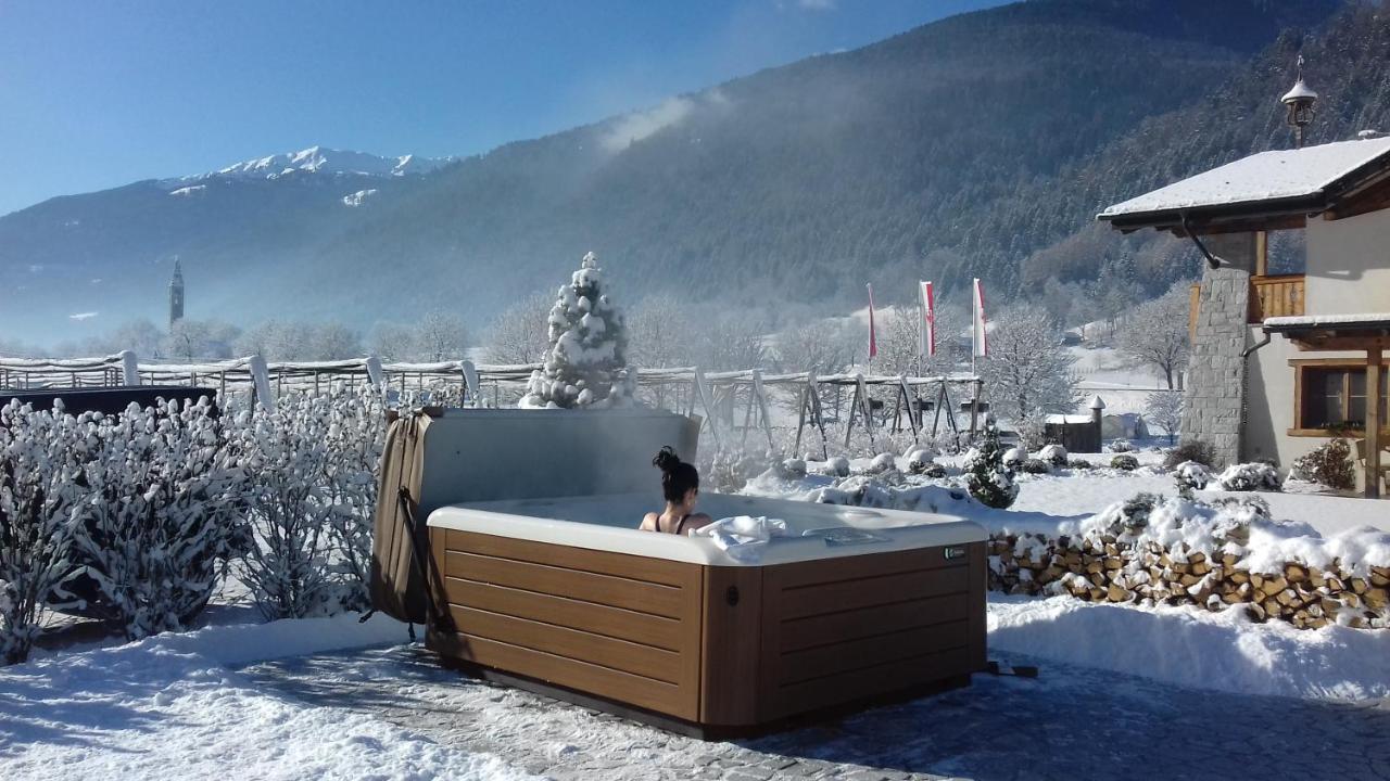 Agriturismo Maso Grisun Borzago エクステリア 写真